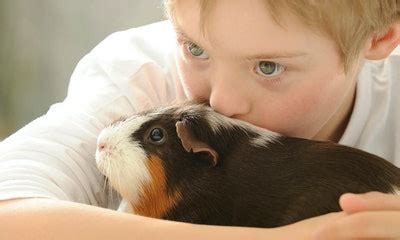 生小孩 養寵物|飼養寵物有益於兒童成長？或者這只不過是我們人類的。